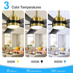 Ventilatore da soffitto a LED Breezary 65/52/42 a 5 pale con kit luci e telecomando