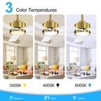 Ventilatore da soffitto a LED Breezary 65/52/42 a 5 pale con kit luci e telecomando