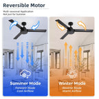 Ventilatore da soffitto moderno in legno massello/ABS da 52 pollici con telecomando (senza luce), 6 velocità del vento, flusso d'aria reversibile