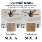 52 Prominence Home Sivan Bronze Farmhouse Ventilatore da soffitto a LED con luce, telecomando