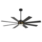 Ventilatore da soffitto a LED nero da 65 pollici a 8 pale con luce e telecomando