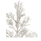 96 Ramoscello di legno morto