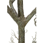 96 Ramoscello di legno morto