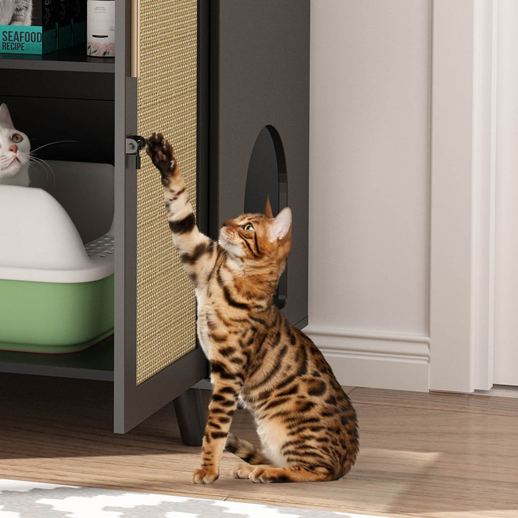 Lettiera per gatti, cuccia per gatti, tavolino laterale, porta, mobiletto, libreria