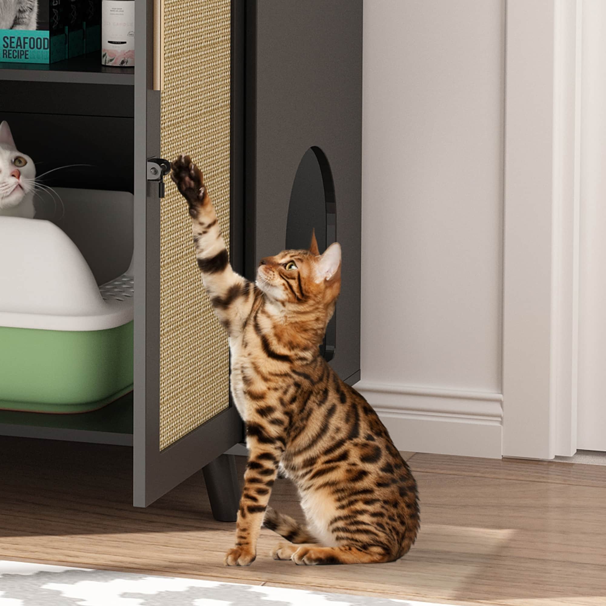 Lettiera per gatti, cuccia per gatti, tavolino laterale, porta, mobiletto, libreria