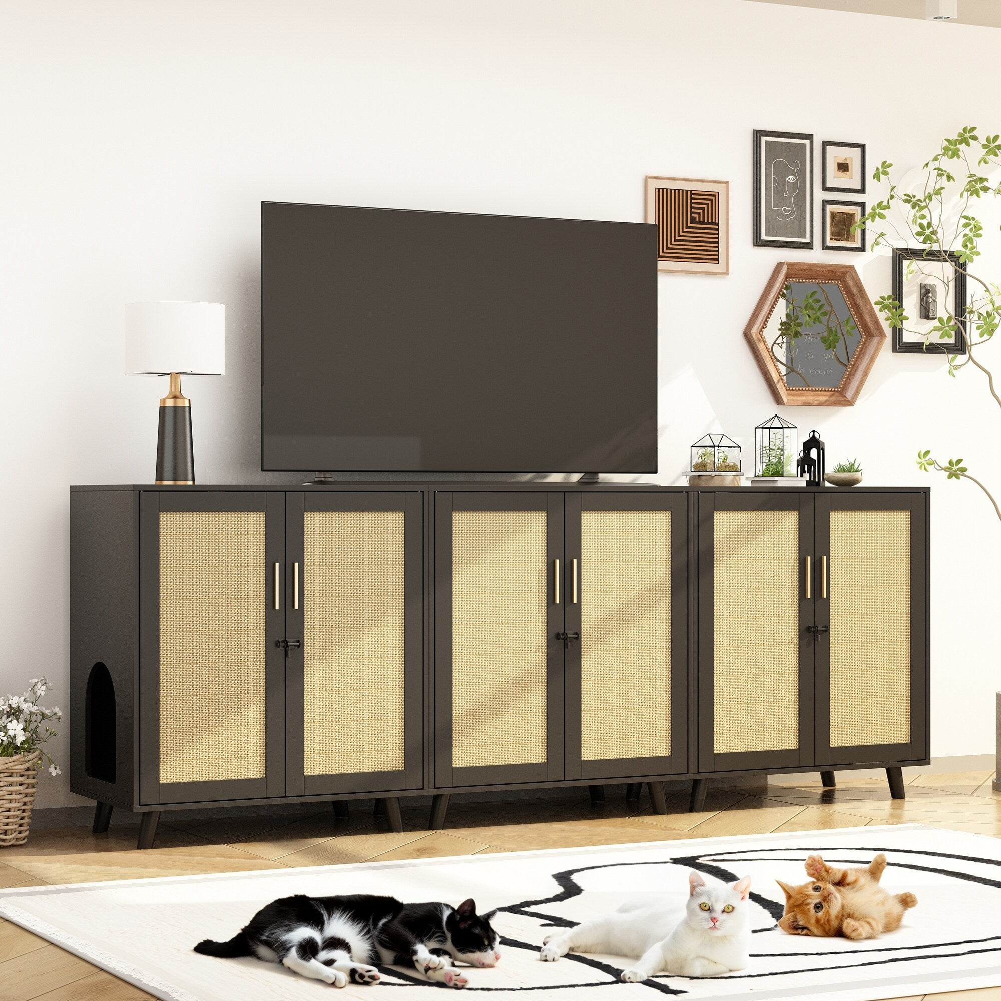 Lettiera per gatti, cuccia per gatti, tavolino laterale, porta, mobiletto, libreria