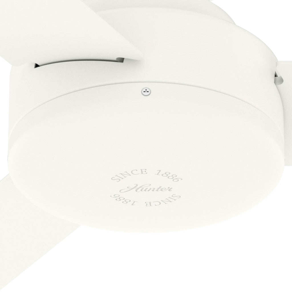 Gazebo pergolato in acciaio da esterno 10' x 13', tettoia per patio con fori di drenaggio per giardino, piscina e cortile