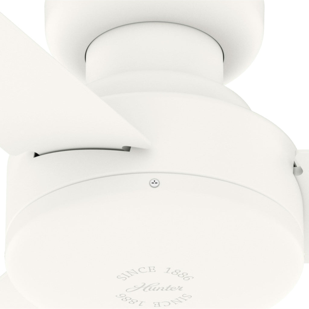 Gazebo pergolato in acciaio da esterno 10' x 13', tettoia per patio con fori di drenaggio per giardino, piscina e cortile