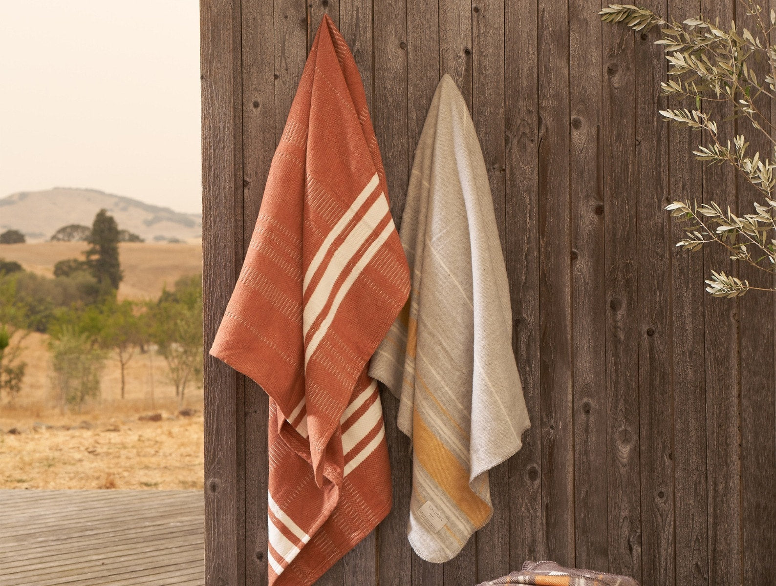 Coperta in cotone biologico super morbido Cirrus - Rinnovata